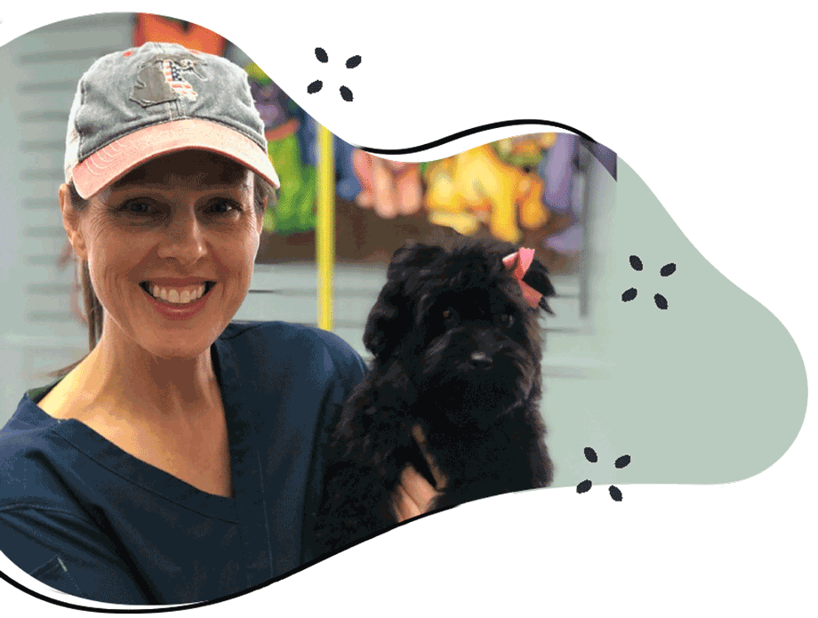 Prices Animal Crackers Hartland