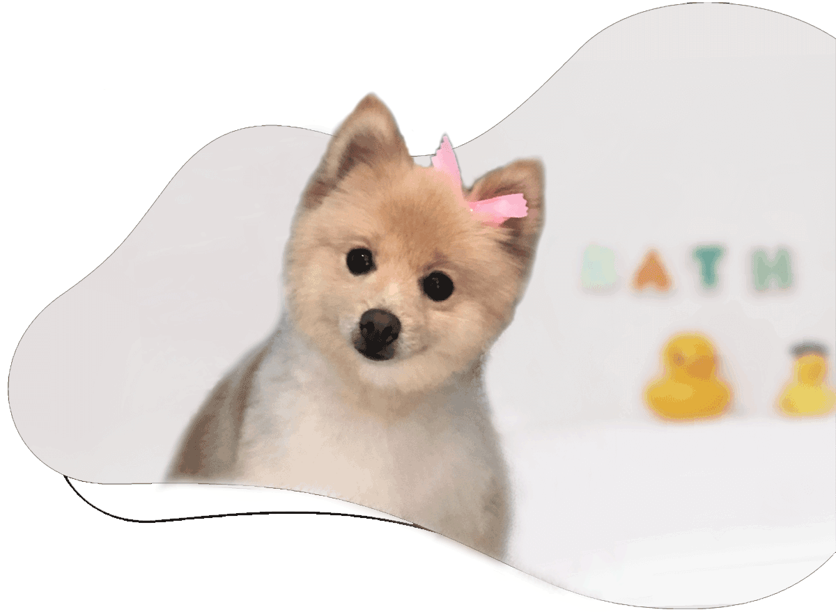 Grooming Animal Crackers Hartland