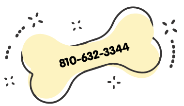 https://animalcrackershartland.com/wp-content/uploads/2021/07/yellow_bone_phone_380x220.png