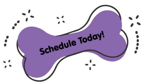 https://animalcrackershartland.com/wp-content/uploads/2021/09/Schedule-Today-Purple-Bone.png