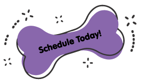 https://animalcrackershartland.com/wp-content/uploads/2021/09/book-today-purple-bone.png