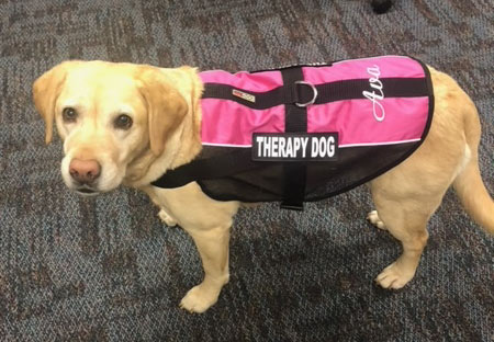 Community-Therapy-Dog